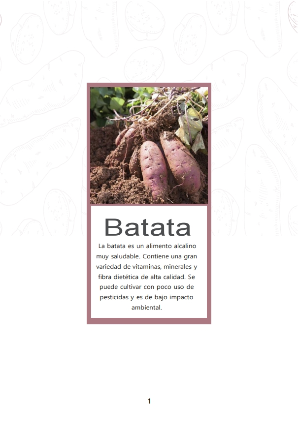 16-3. 파라과이_Batata libro revisado.pdf_page_001.png